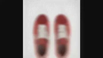 Vans X passport - the sid