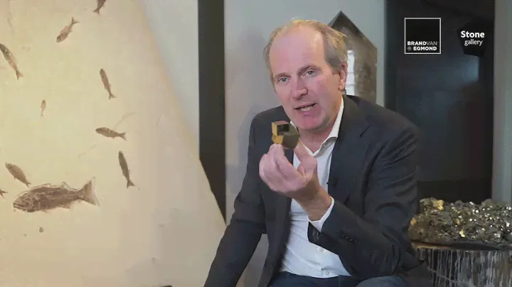 BRAND VAN EGMOND x StoneGallery | Meet the expert